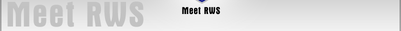 Welcome to Ritz web solutions - your Sonoma web design specialist
