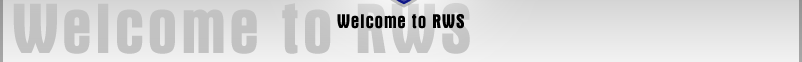 Welcome to Ritz web solutions - your Sonoma web design specialist